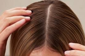 Healthy Hair Starts at the Scalp: A Complete Guide